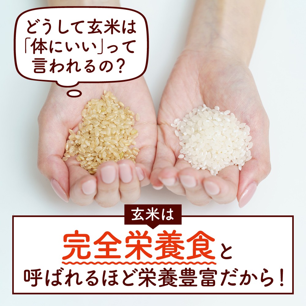 食べる米ぬかサプリメント 発酵 玄米菜食 | 【公式】ヨネキチ本店通販